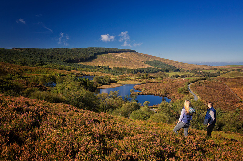 Sperrin Mountains