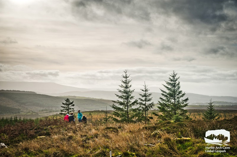 BALLINTEMPO FOREST AGHANAGLACK WALK