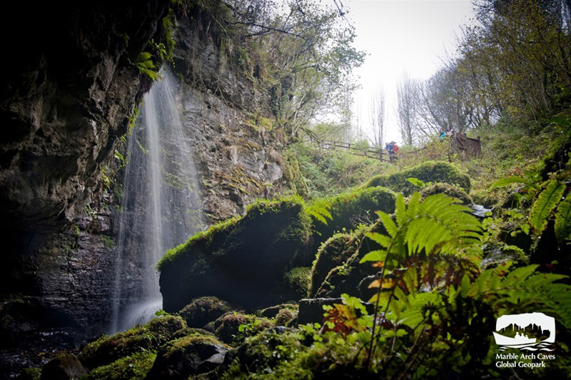 BELMORE FOREST (POLLNAGOLLUM CAVE WALK)